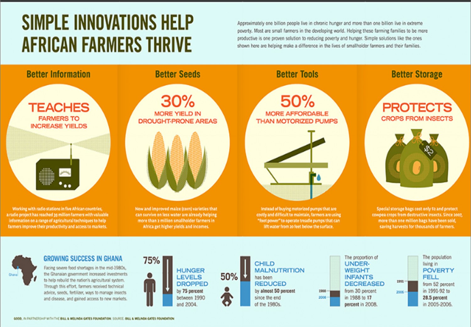 Thiết kế infographic cho doanh nghiệp